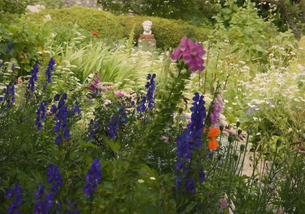 Detail of Summer Abundance, 2018 by Helen White