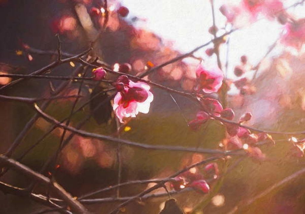 Detail of First Light of Spring, 2018 by Helen White