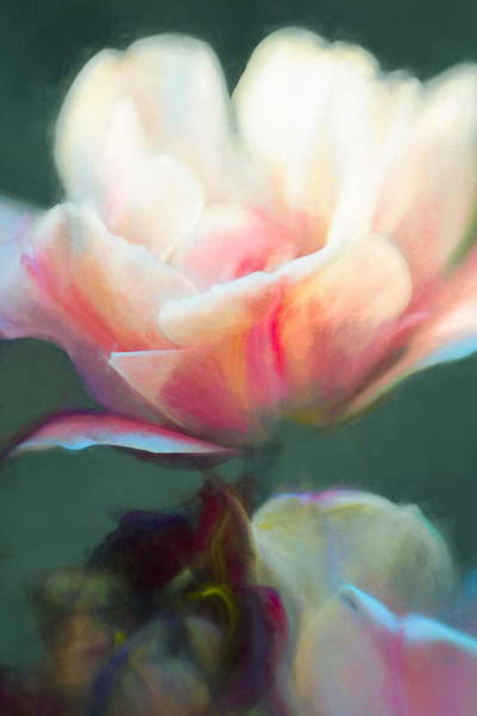 Detail of Emergence II, 2018 by Helen White