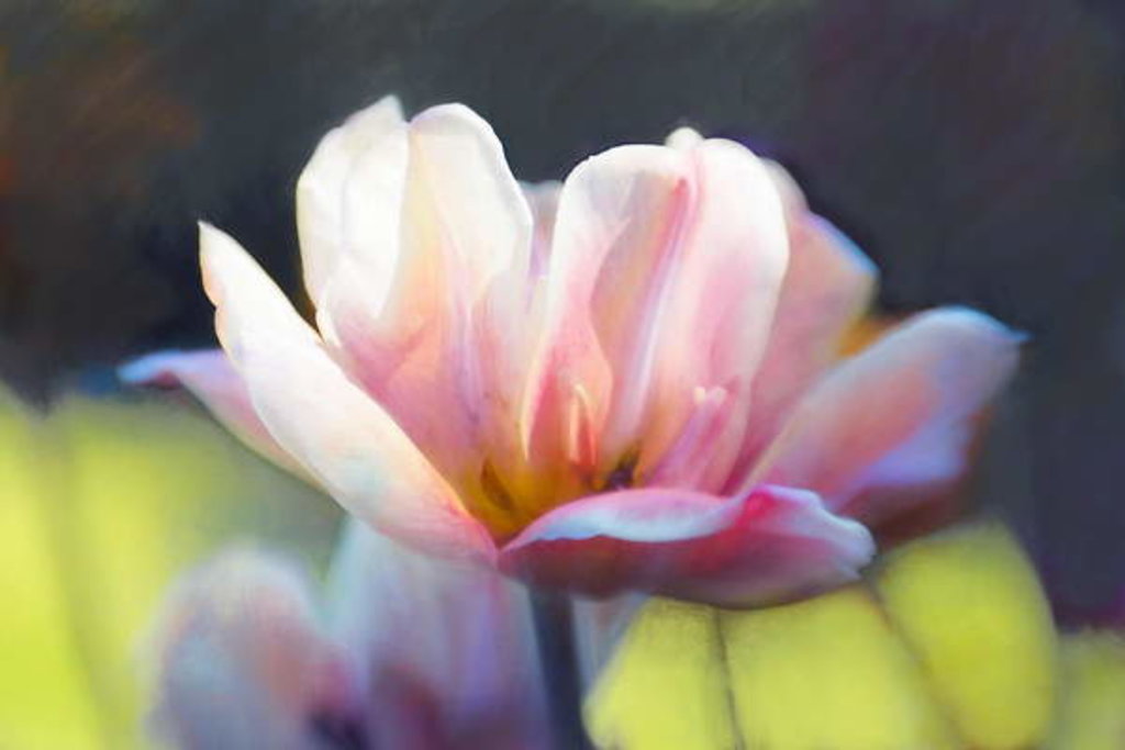 Detail of Emergence III, 2018 by Helen White