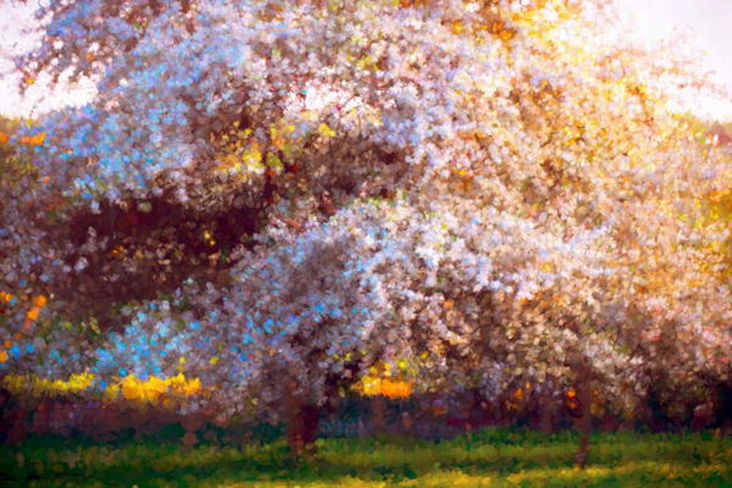 Detail of Evening Blossom, 2018 by Helen White
