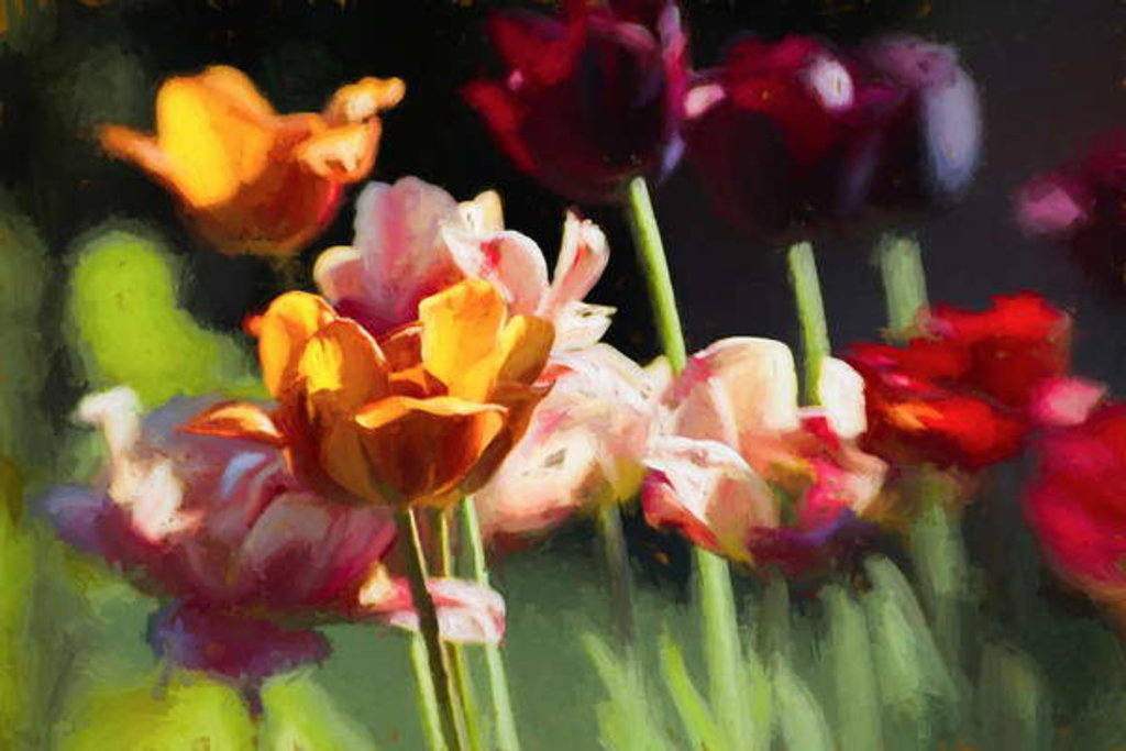 Detail of Tulip Field, 2018 by Helen White