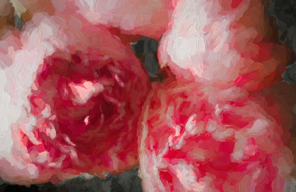 Detail of Pink Peonies, 2018 by Helen White