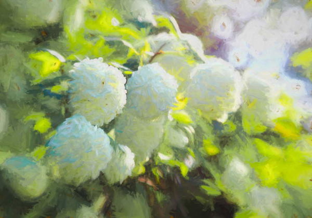 Detail of Softly Blooming, 2018 by Helen White