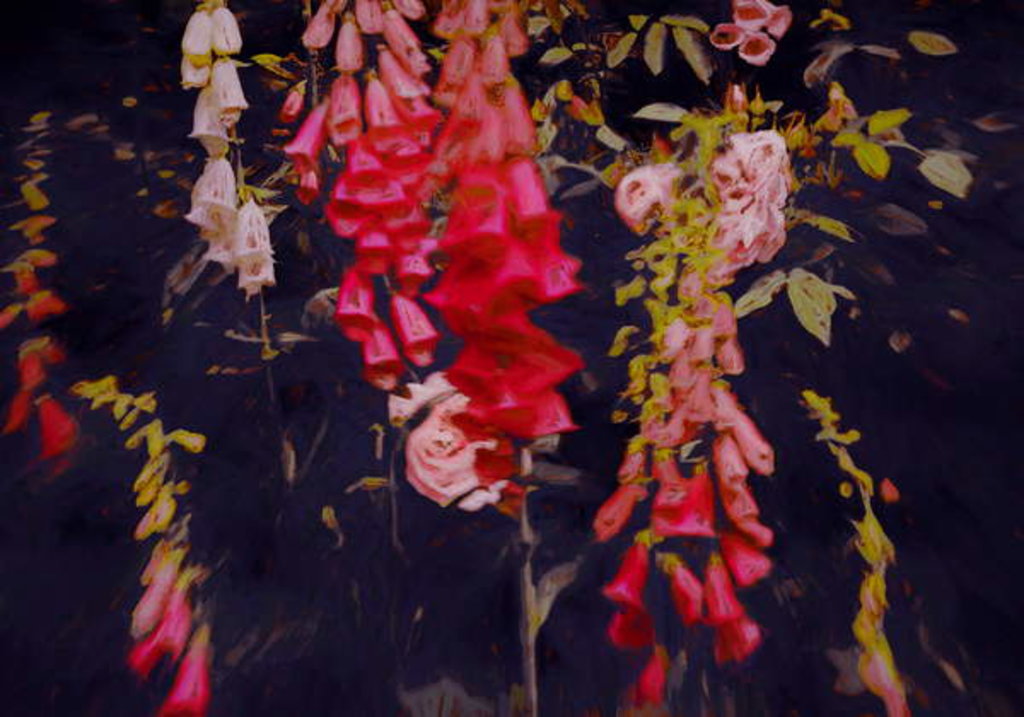 Detail of Even in Dark Places, 2018 by Helen White