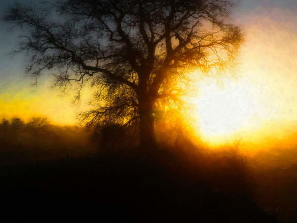 Detail of Molten Moment, 2018 by Helen White