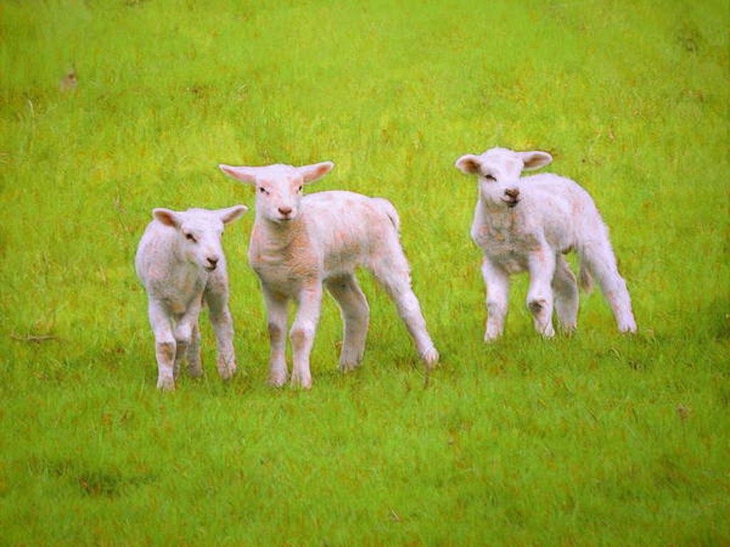 Detail of Scallywags, 2018 by Helen White