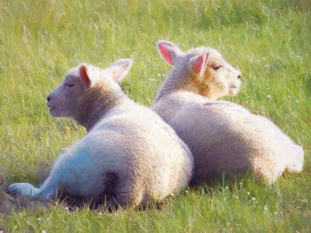 Detail of Twins, 2018 by Helen White