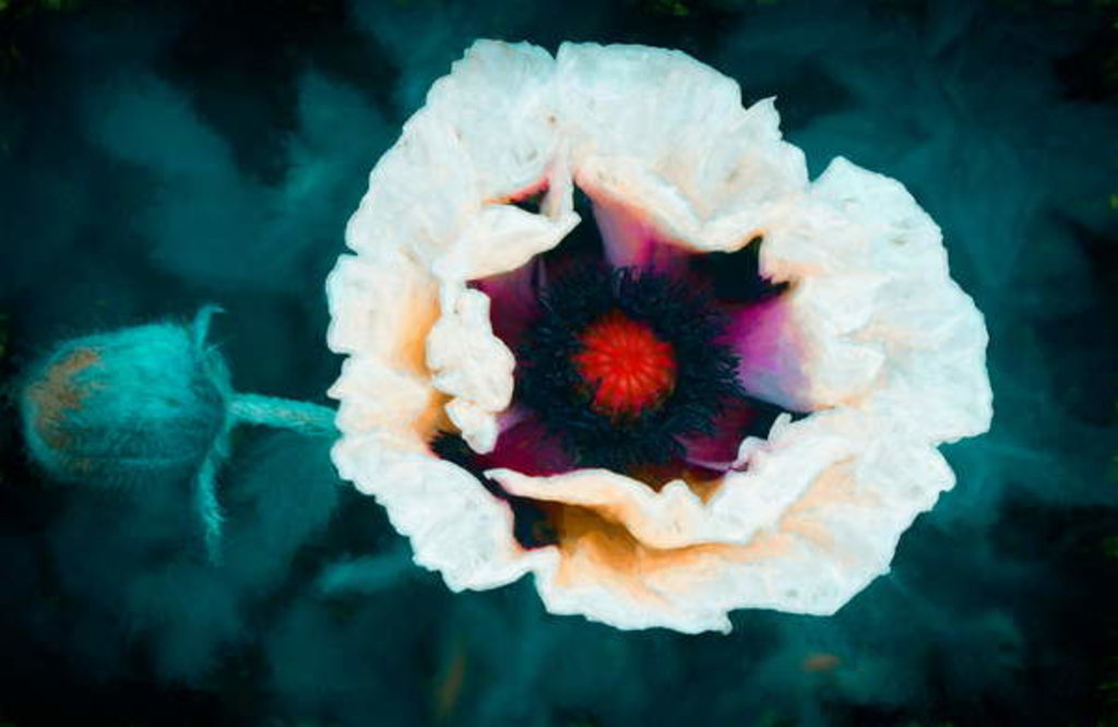 Detail of All Heart, 2018 by Helen White