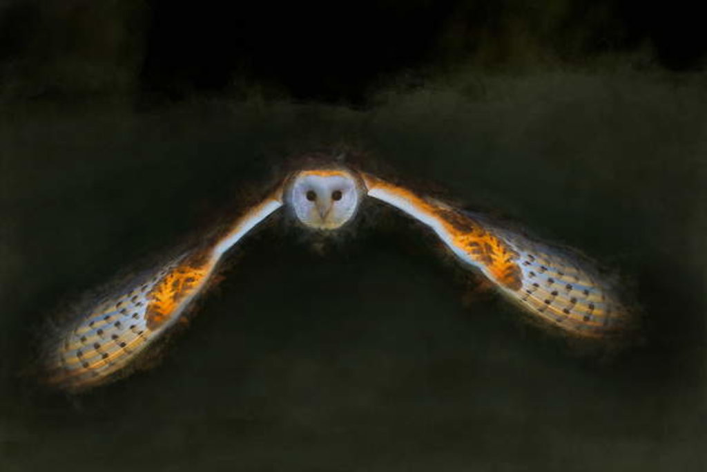 Detail of Night Flight, 2018 by Helen White