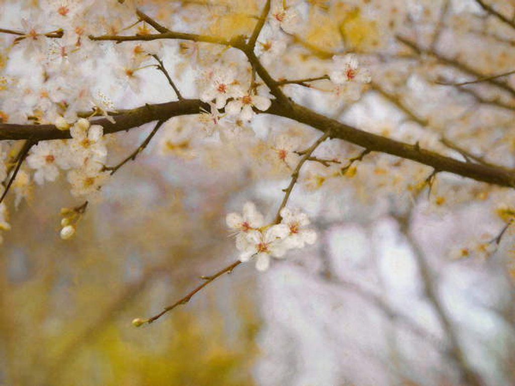 Detail of Golden Springtime, 2019 by Helen White