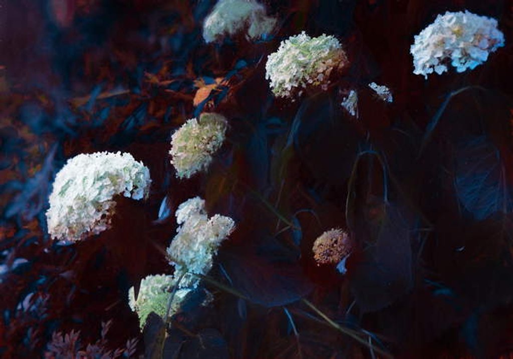 Detail of In the Pale Moonlight, 2019 by Helen White