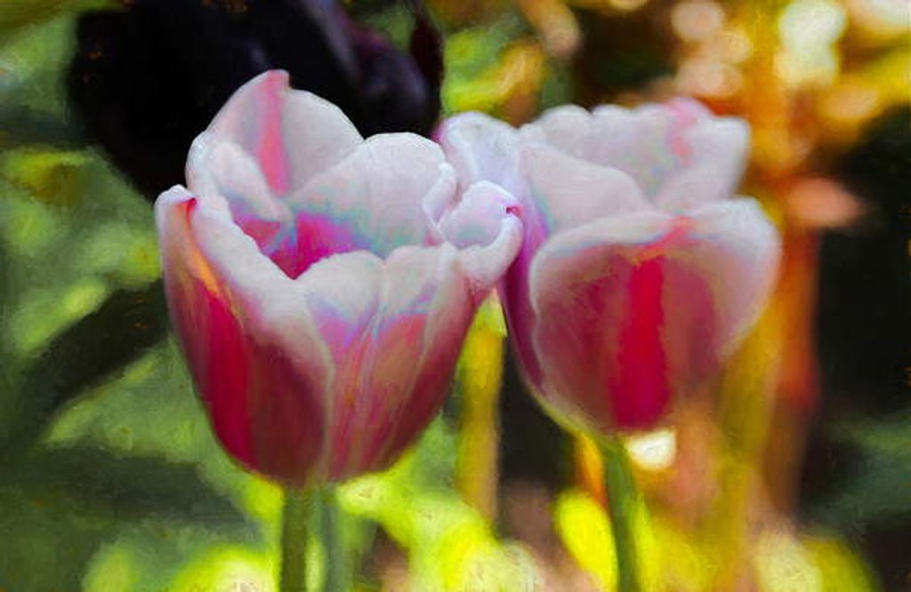 Detail of Lit Up Inside, 2019, by Helen White