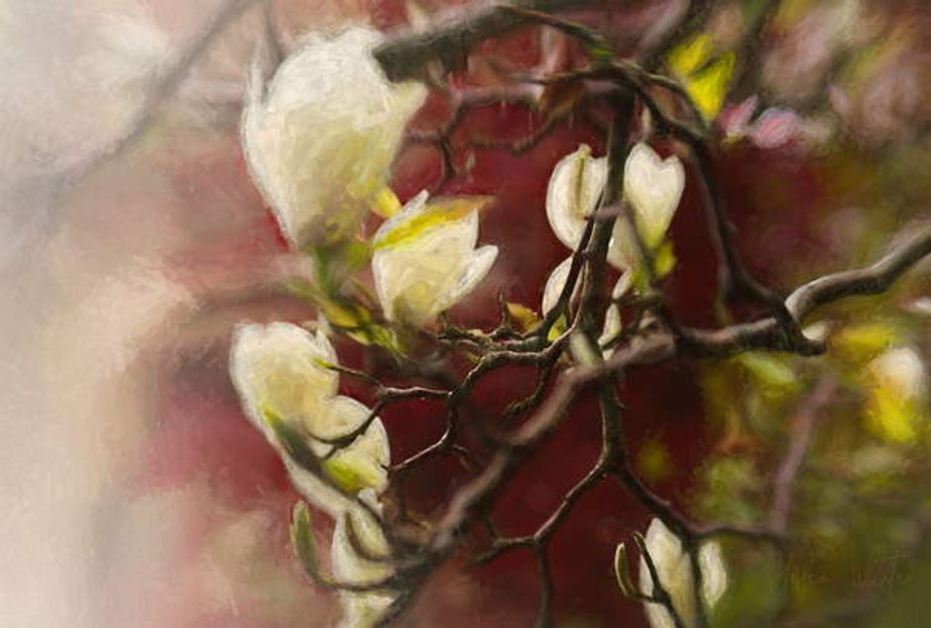 Detail of Magnolia, 2018 by Helen White