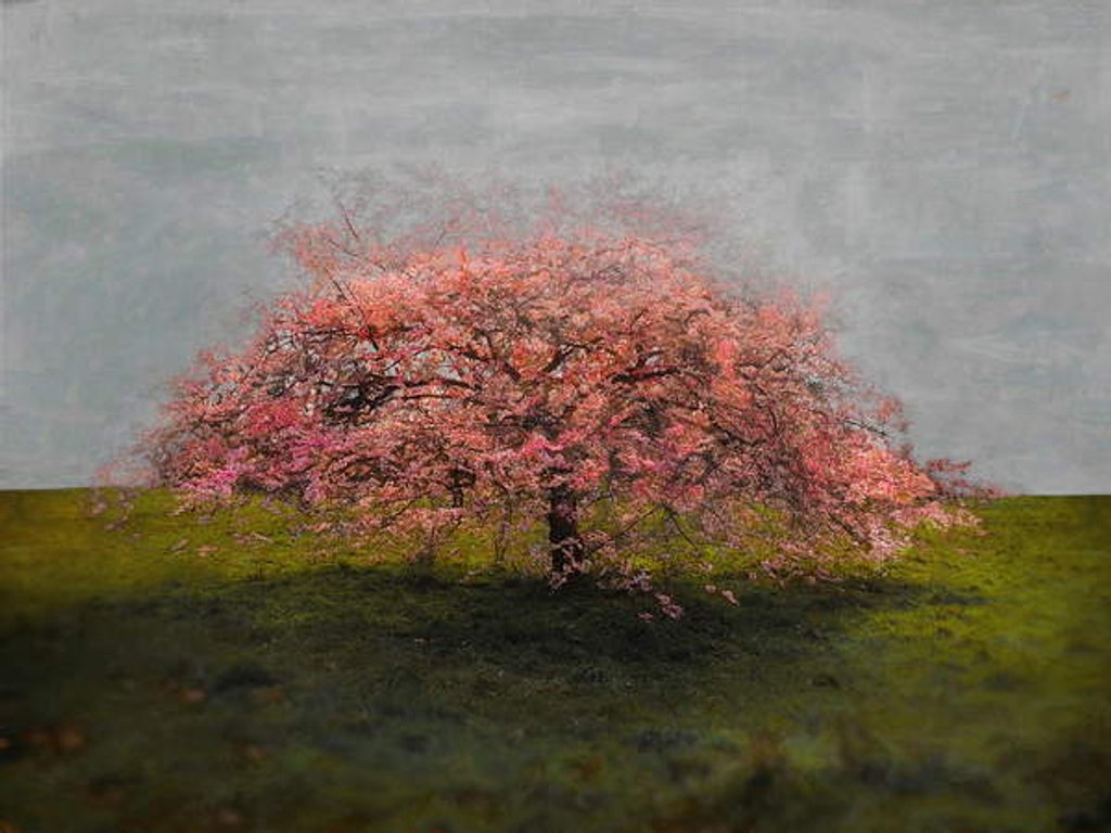 Detail of Stand Alone Beauty, 2019 by Helen White