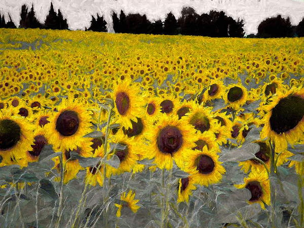 Detail of Sunny-Sided Hill, 2019 (manipulated photography by Helen White