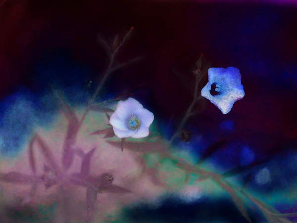 Detail of Transience, 2019 by Helen White