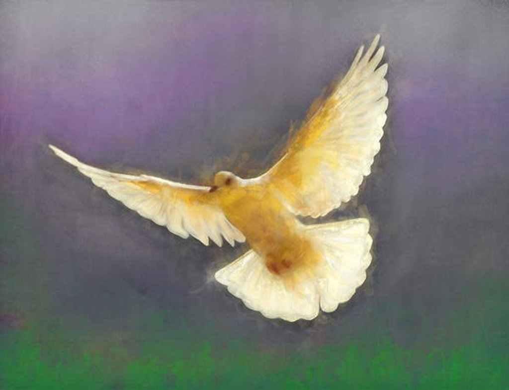 Detail of Bringer of Peace, 2019 by Helen White