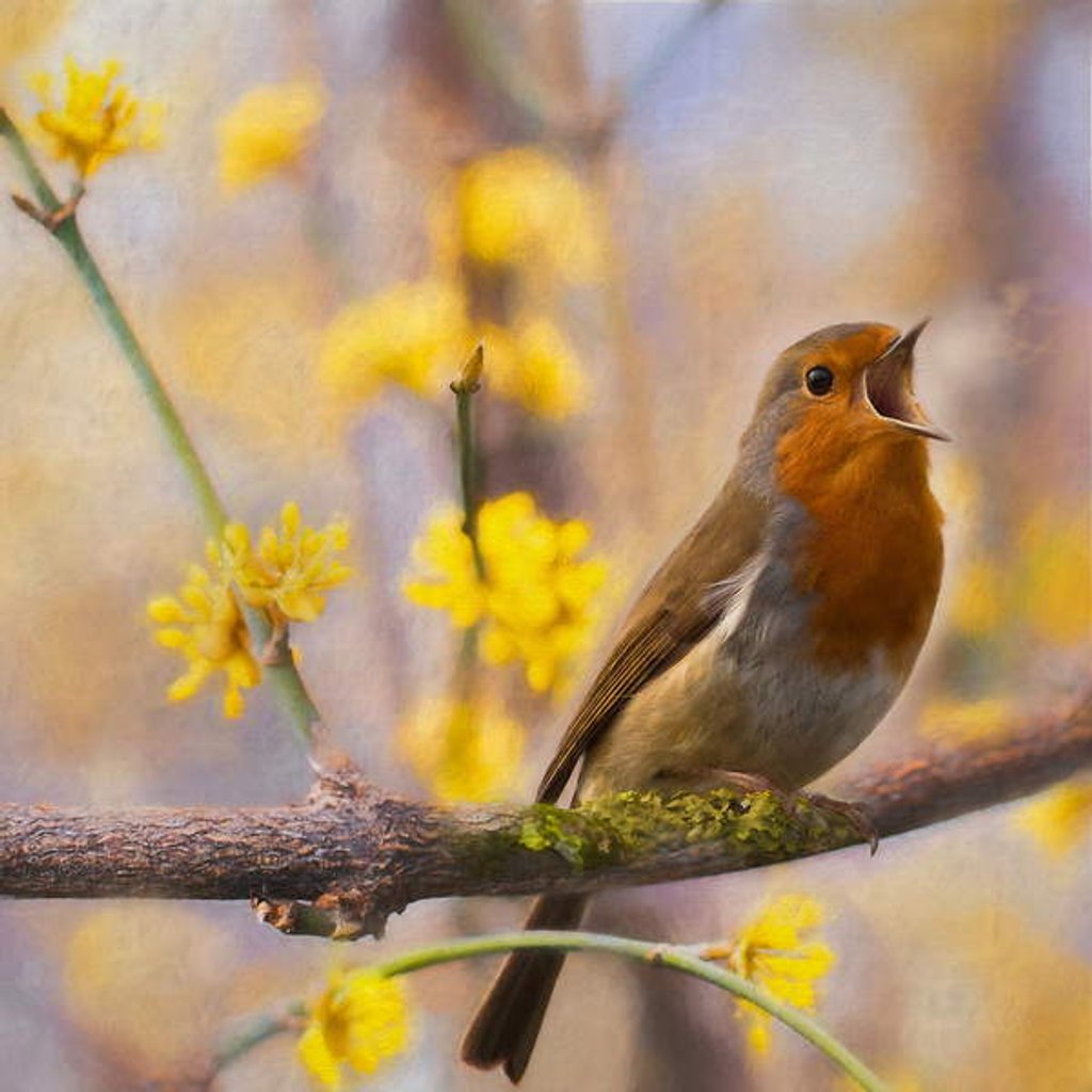 Detail of Divine Messenger, 2019 by Helen White