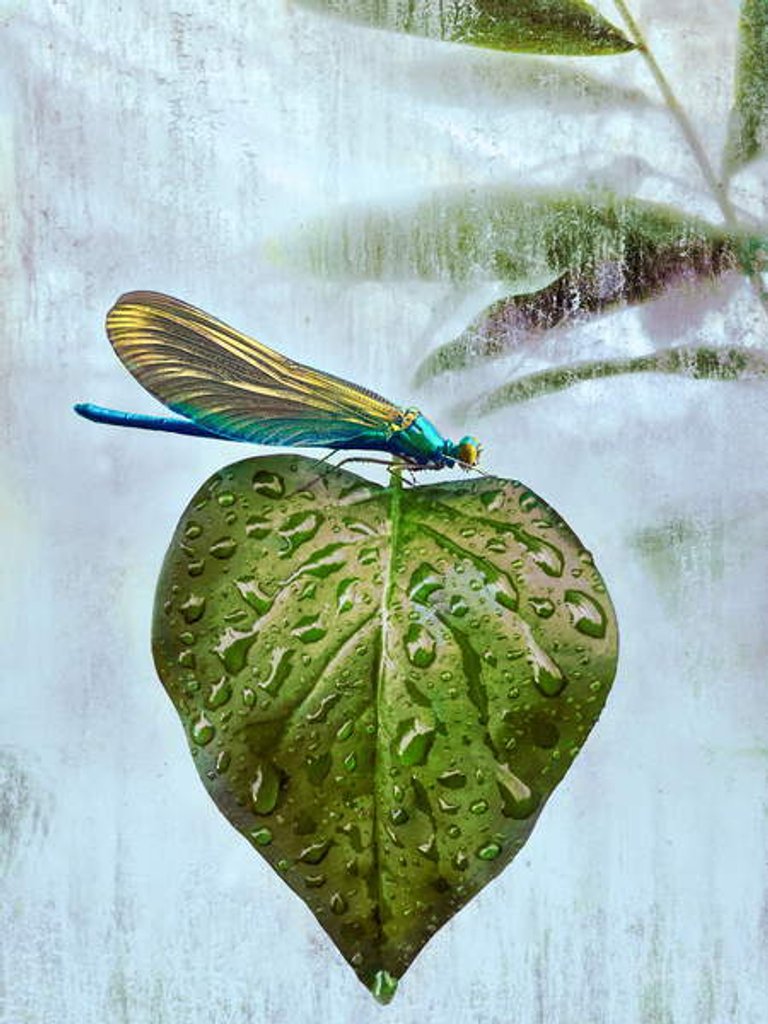 Detail of Flying visit, 2019 by Helen White