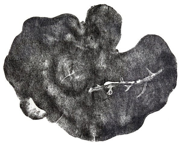 Detail of Morgondagg, 2014 by Bella Larsson