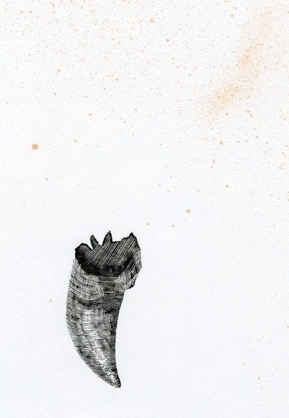 Detail of Tooth {Fay-erie Dust}, 2014 by Bella Larsson