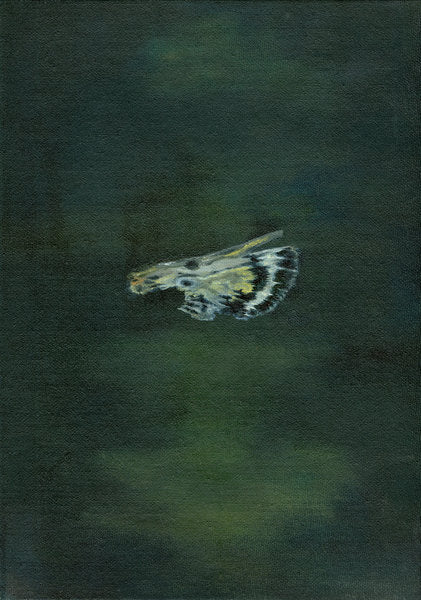 Detail of Moth Wing, 2014 by Bella Larsson