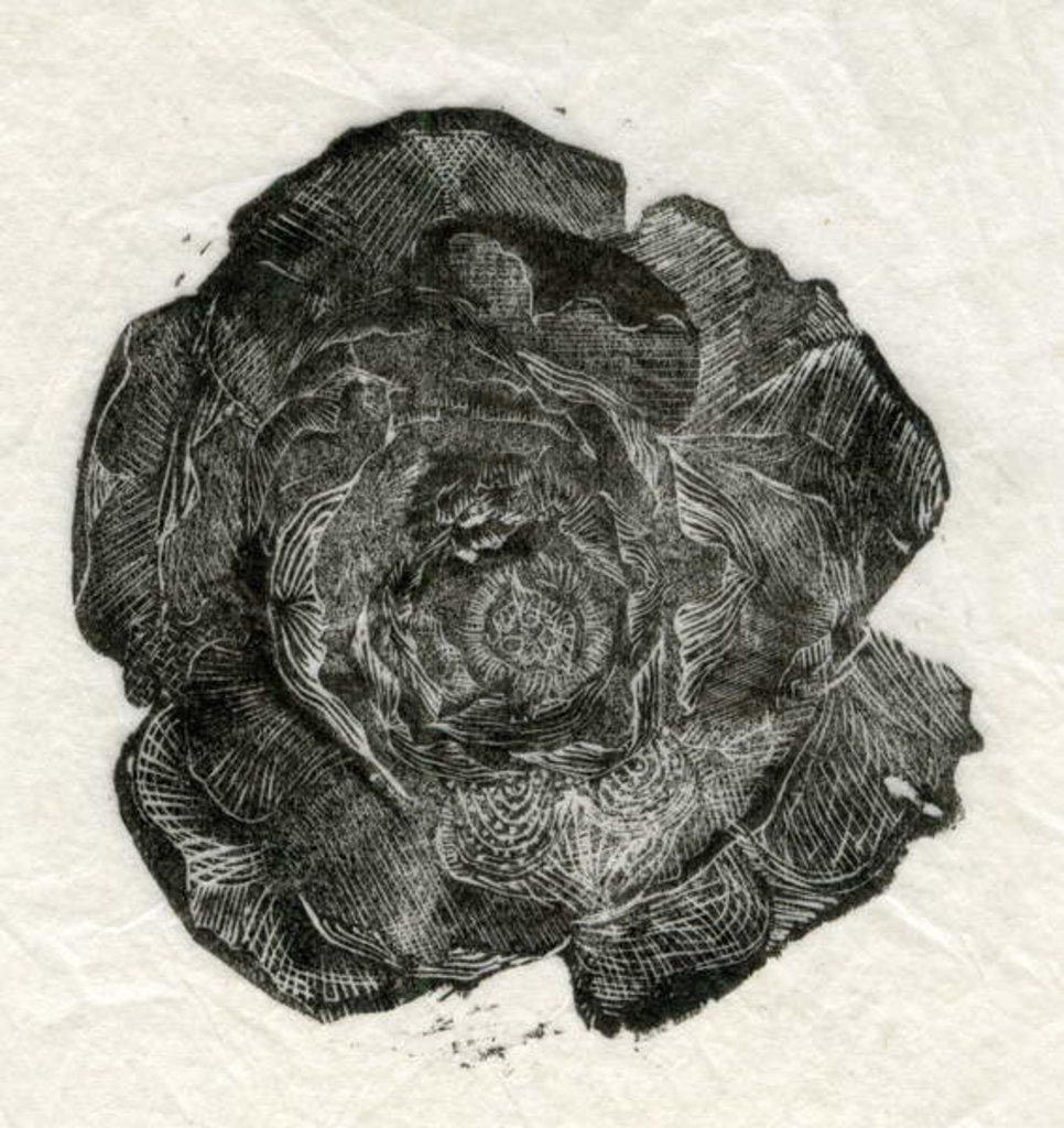 Detail of Pine Rose, 2014 by Bella Larsson