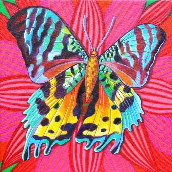 Detail of Sunset Moth, 2014 by Jane Tattersfield