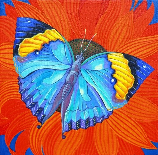 Detail of Indian Leaf Butterfly, 2014 by Jane Tattersfield