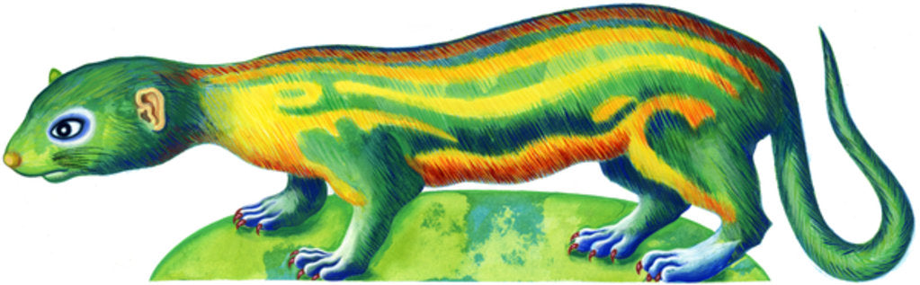 Detail of Ferret, 1996 by Jane Tattersfield