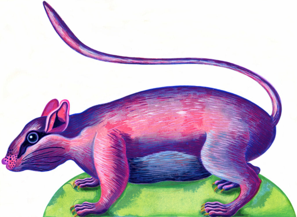 Detail of Rat, 1996 by Jane Tattersfield