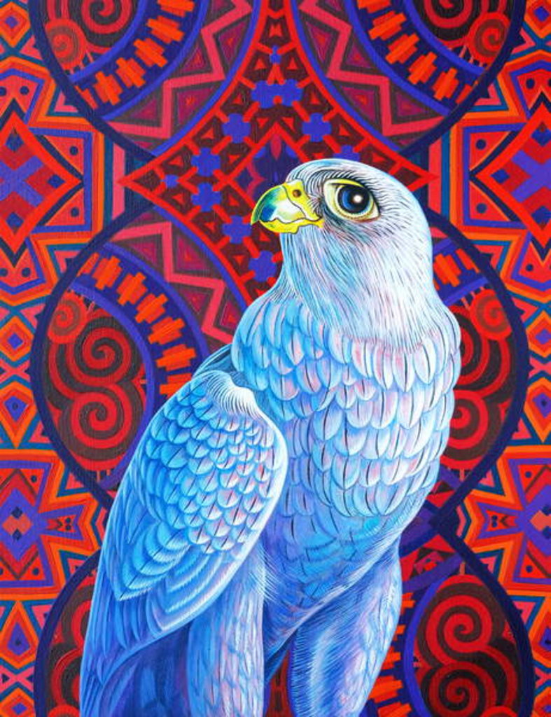 Detail of Grey falcon, 2017 by Jane Tattersfield