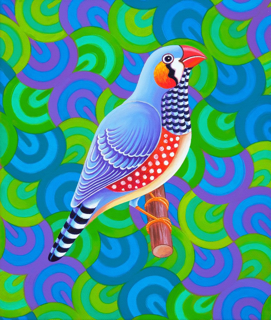 Detail of Zebra finch, 2023 by Jane Tattersfield