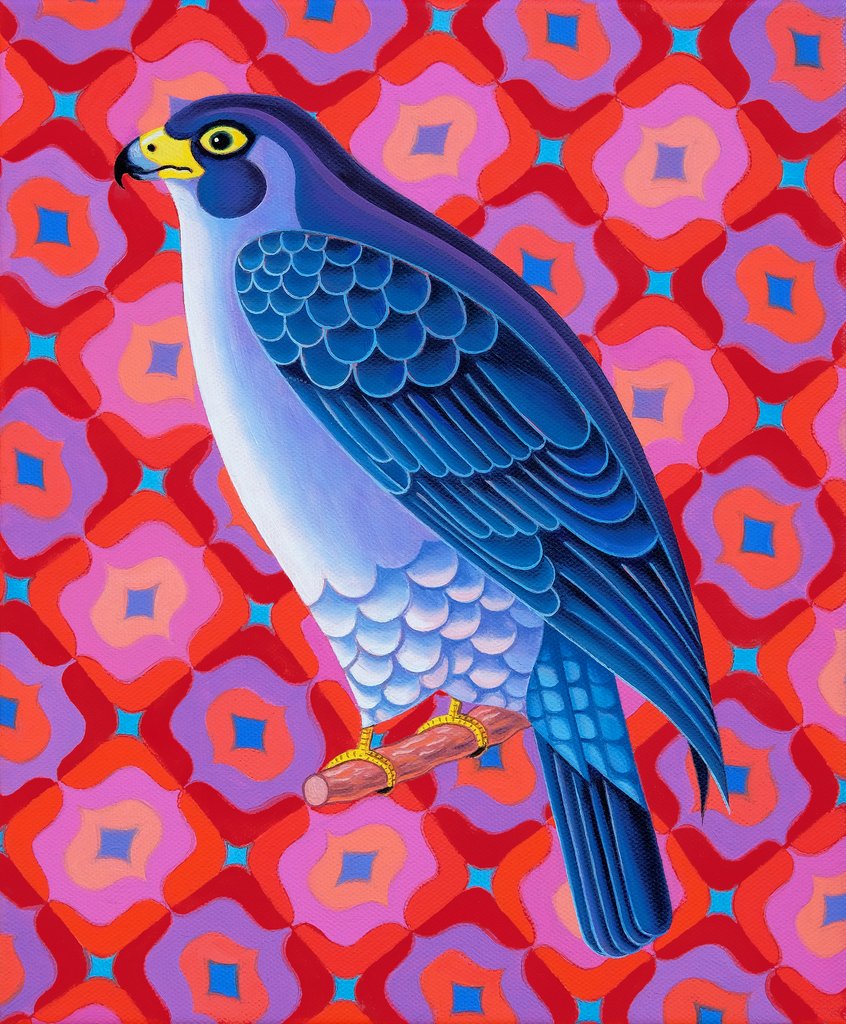Detail of Peregrine falcon, 2023 by Jane Tattersfield