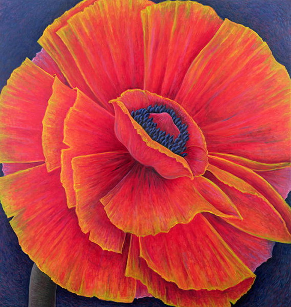 Detail of Big Poppy, 2003 by Ruth Addinall