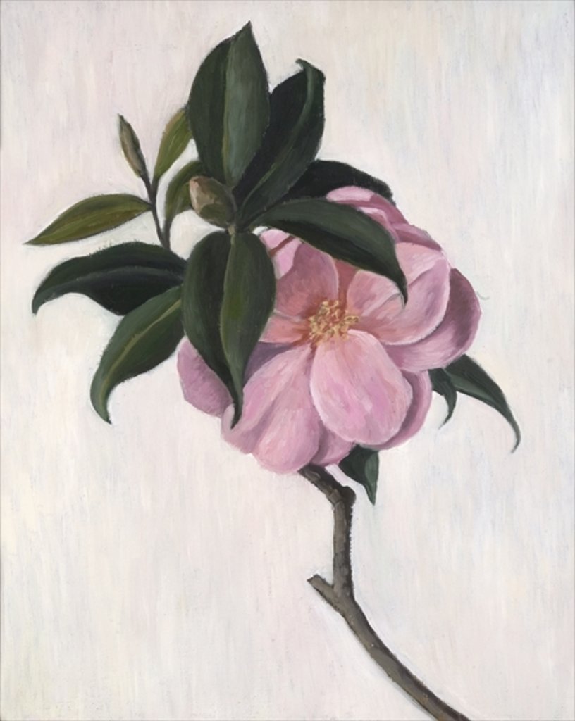 Detail of Camellia by Ruth Addinall