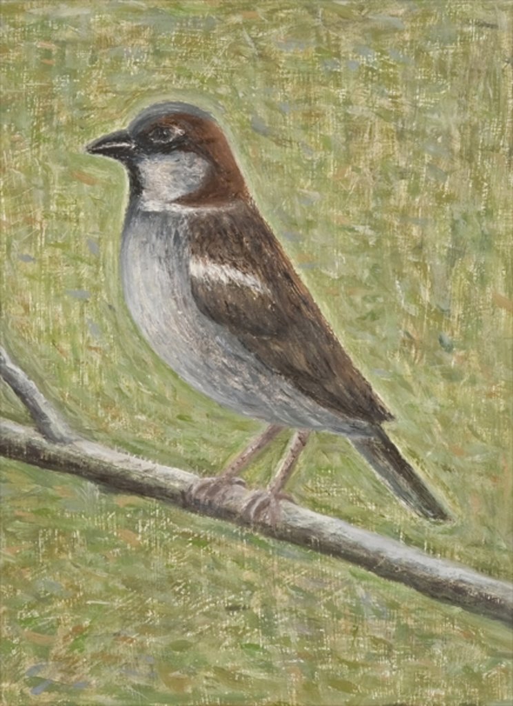 Detail of House Sparrow, 2008 by Ruth Addinall