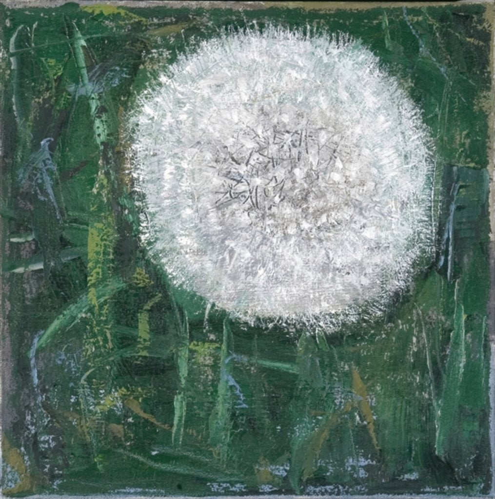 Detail of Dandelion Head, 2008 by Ruth Addinall