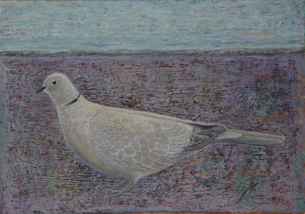 Detail of I am the Collared Dove, 2016 by Ruth Addinall