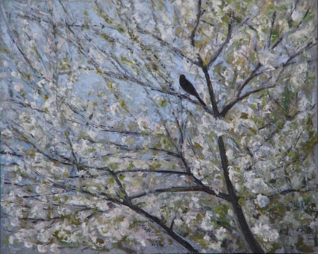 Detail of Blackbird Singing in Cherry Blossom by Ruth Addinall