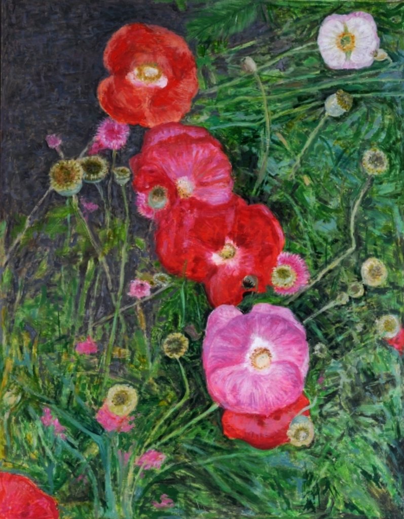 Detail of Poppies, 2009 by Ruth Addinall