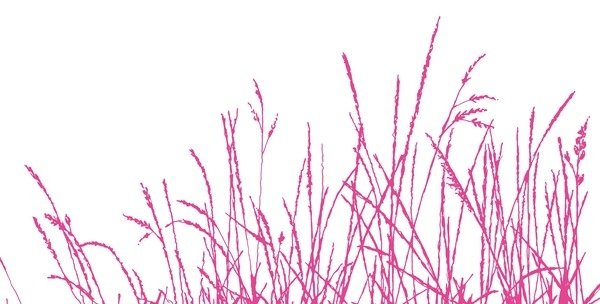 Detail of Wild Whisper, 2009 by Sarah Hough