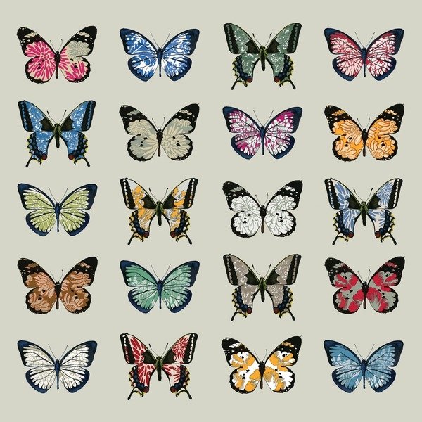 Detail of Papillon, 2008 by Sarah Hough