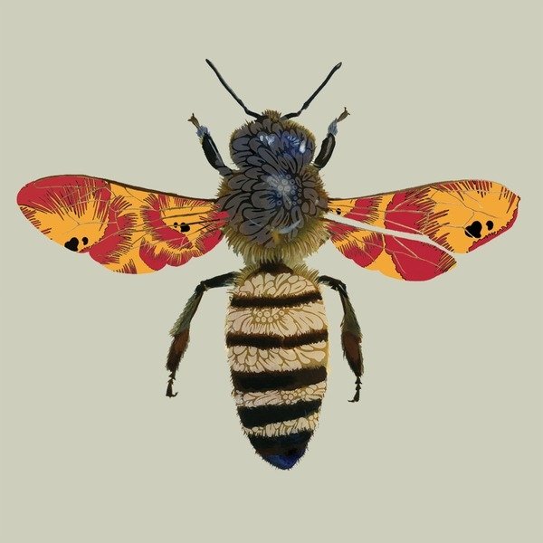 Detail of Honey Bee, 2010 by Sarah Hough
