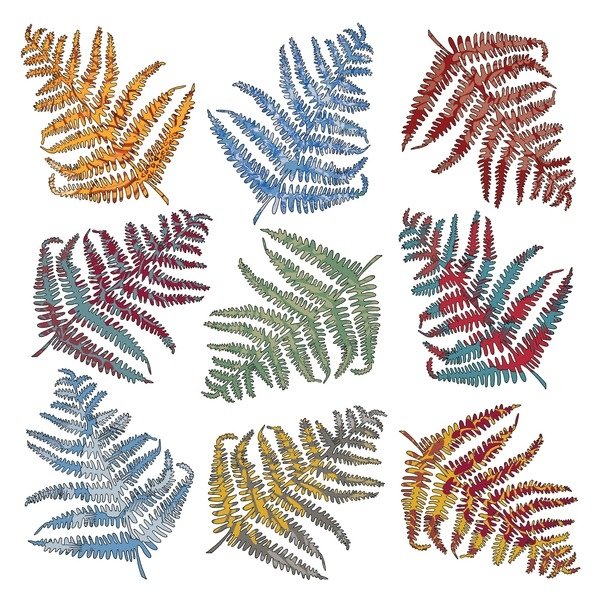 Detail of Ferns, 2012 by Sarah Hough