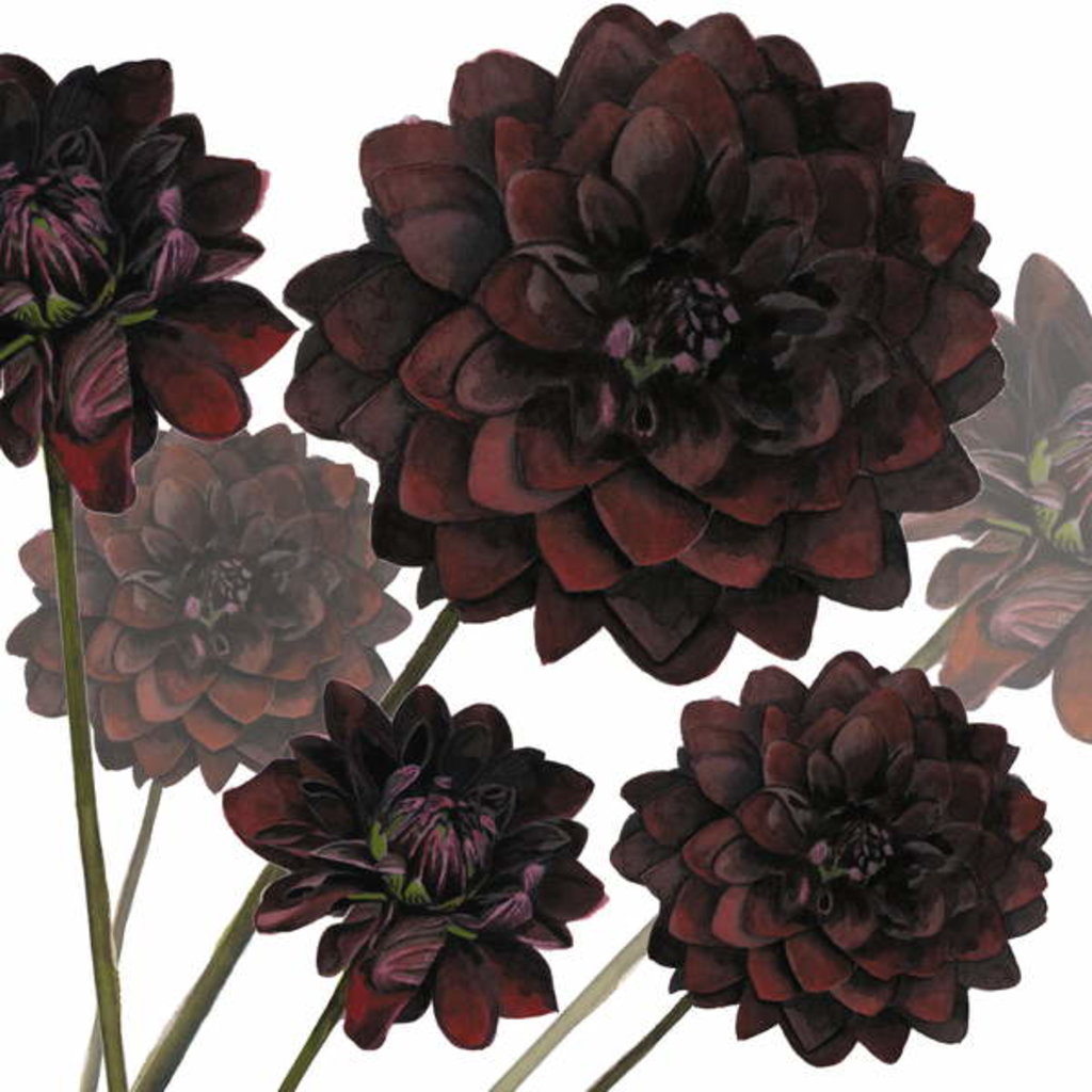 Detail of Arabian Night, 2004 by Sarah Hough