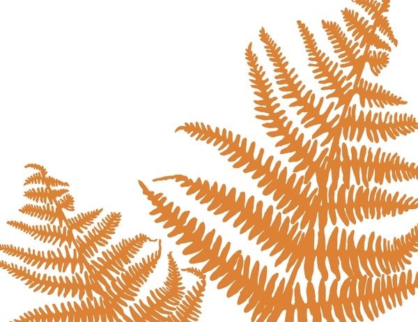 Detail of Brecon, 2009 by Sarah Hough