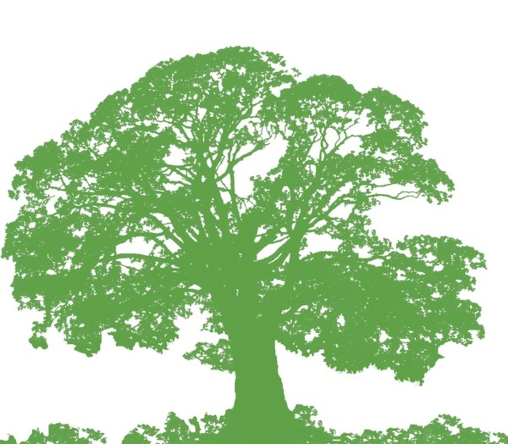 Detail of Climbing Tree, 2009 by Sarah Hough