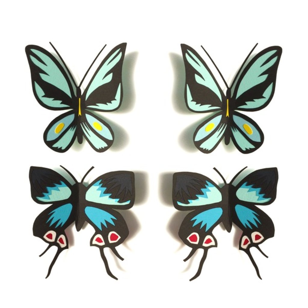 Detail of Flutterbies, 2016 by Isobel Barber